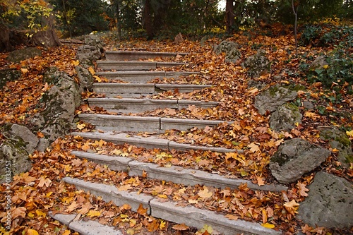 Autumn stairs