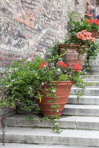 Fototapeta Naklejka Na Ścianę i Meble -  Blumentöpfe auf einer Treppe