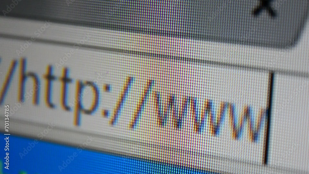 Close up of mouse cursor typing in web browser address bar