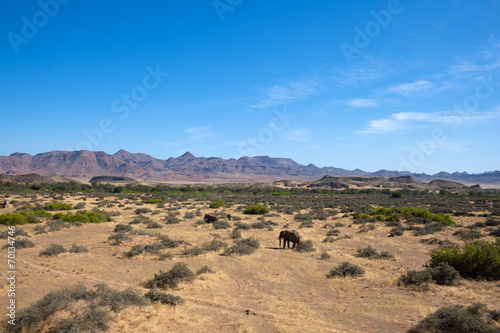 Deserto della Namibia con Elefanti
