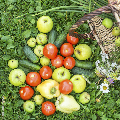 Vegetables and fruits spilled from basket on the grass.