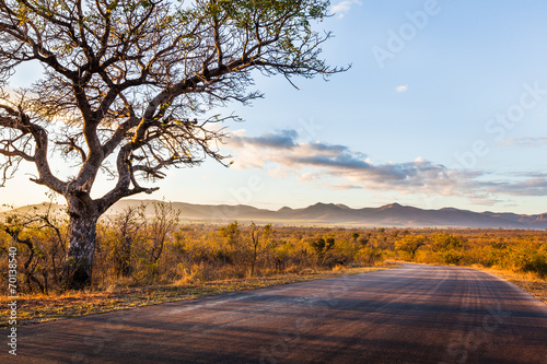 African Landscape photo