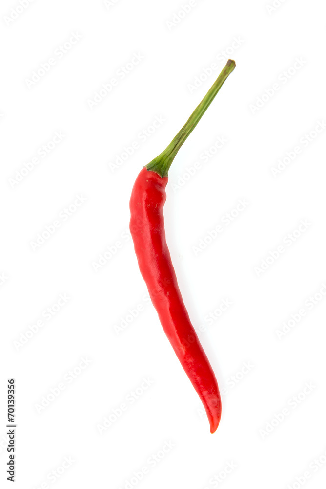 Chilli isolated on white Chilli isolated on white