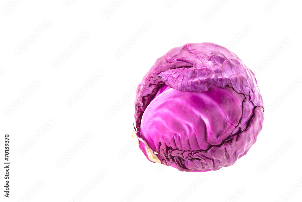 Cabbage isolated on white Cabbage isolated on white
