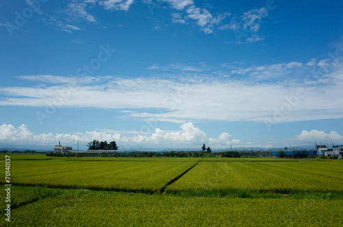 山形