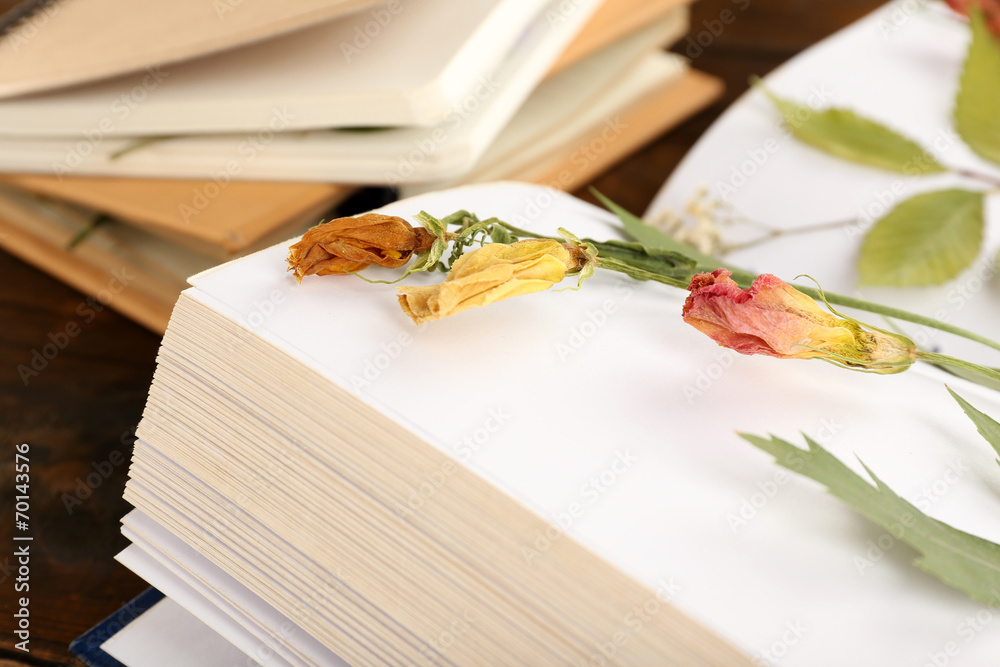 Naklejka premium Dry up plants on book on table close up