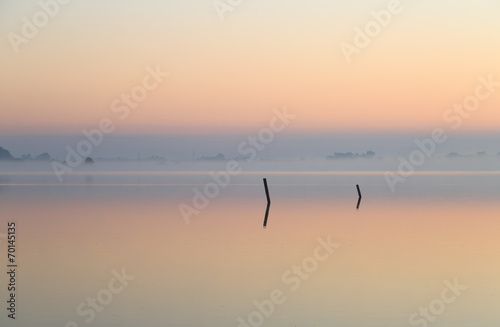 Two poles in a foggy lake at dawn. © sanderstock
