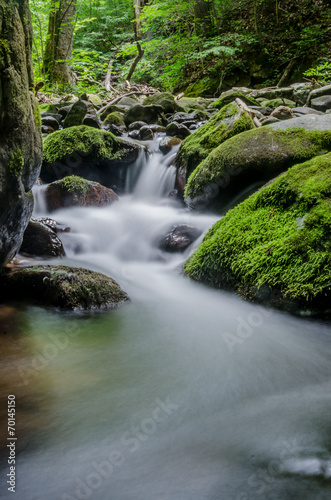 Fototapeta Naklejka Na Ścianę i Meble -  Water flowing through rocks