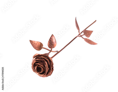 Beautiful bronze rose.