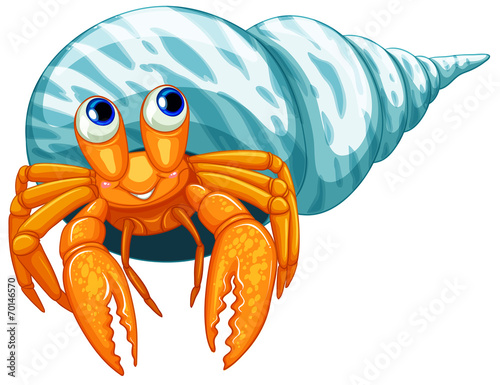 Hermit crab