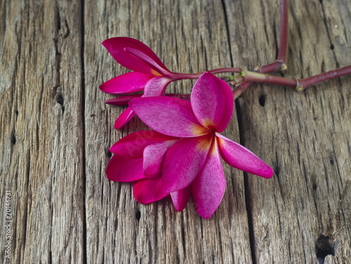 Red Frangipani flower on wooden table spa