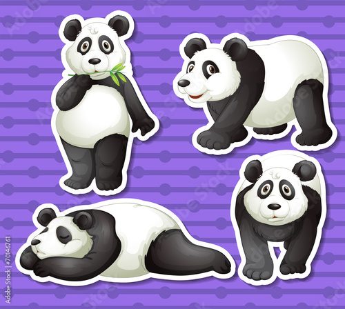 Panda set