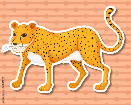 Leopard