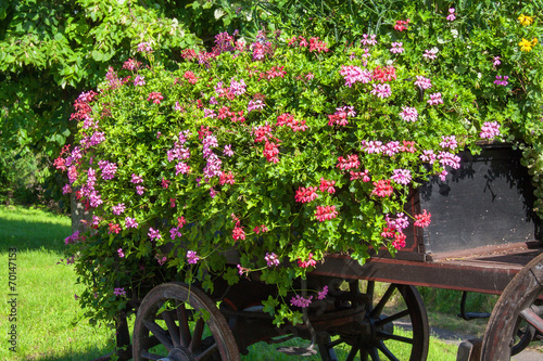 Décor floral à Wangen en Alsace, Haut Rhin