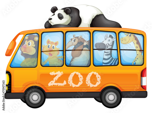 Animals on bus