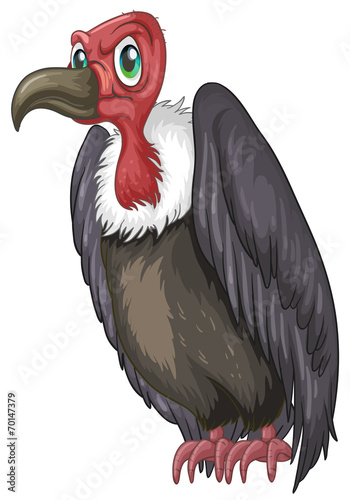 Vulture