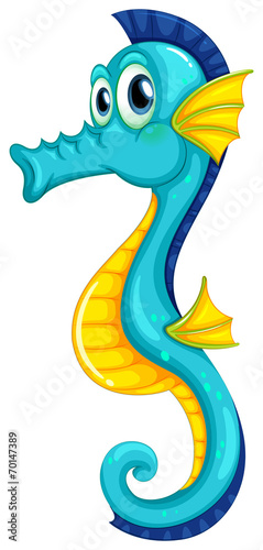 Seahorse