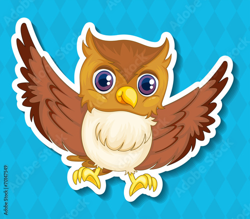 Owl