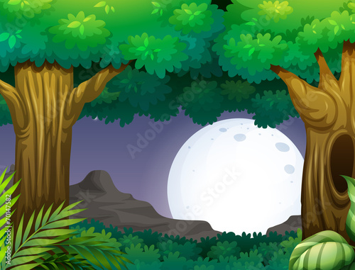 Night time