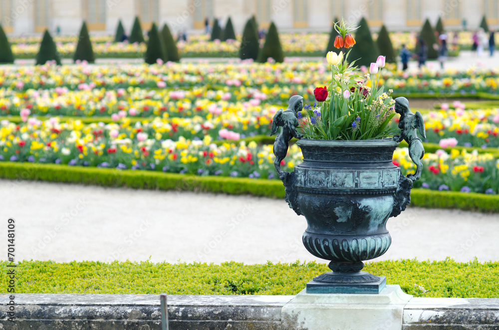 Pot in Versailles Palace garden, Paris