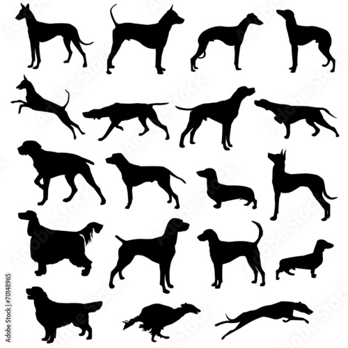 Set of silhouettes of hunting dogs