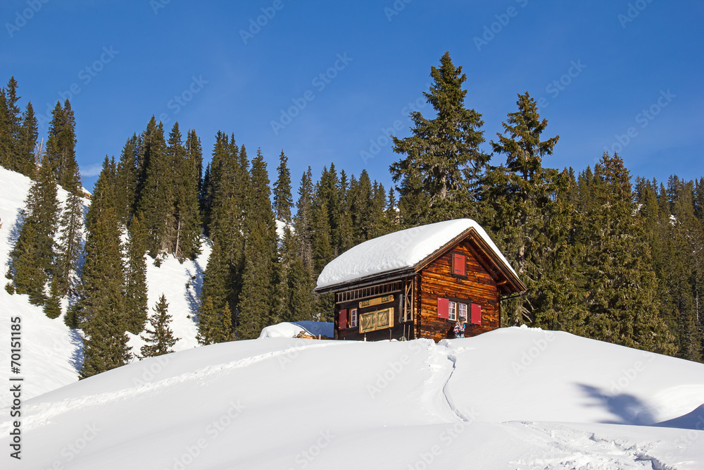 Winter in alps