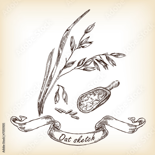 Bakery sketch.Hand drawn illustration of oats and grain