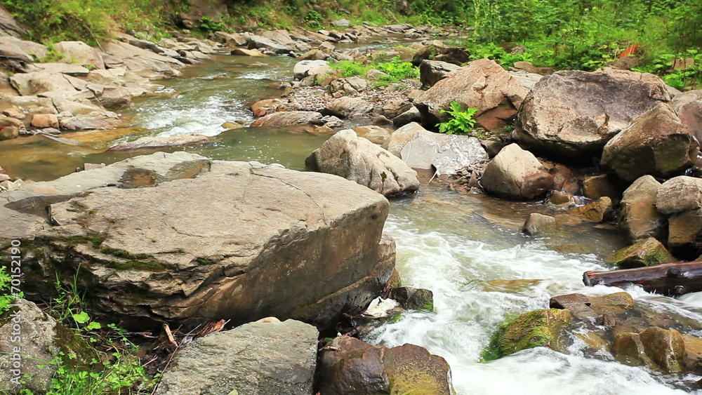 Small mountain river in summer . Landscape Small mountain river in summer . Landscape