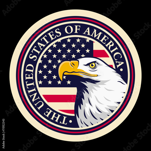 American bald eagle against USA flag background.