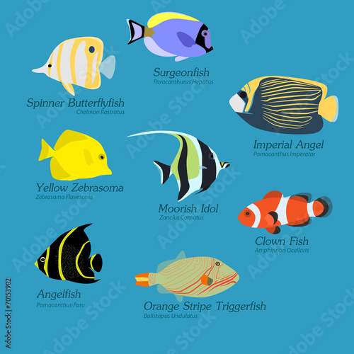Flat Design Exotic Fish set