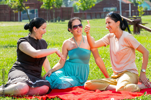Picnic fun. Three girls having fun at a picnic.