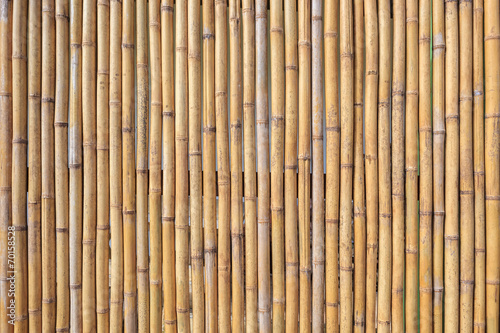 bamboo wall