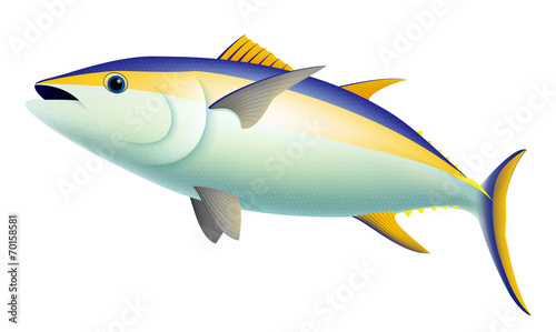 Yellow Fin Tuna Fish