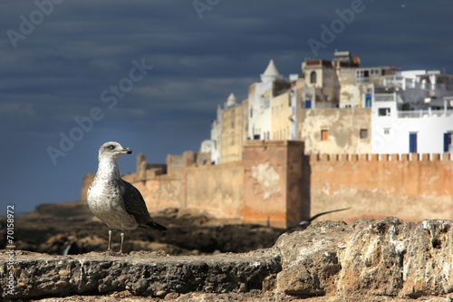Essaouira. Morocco photo