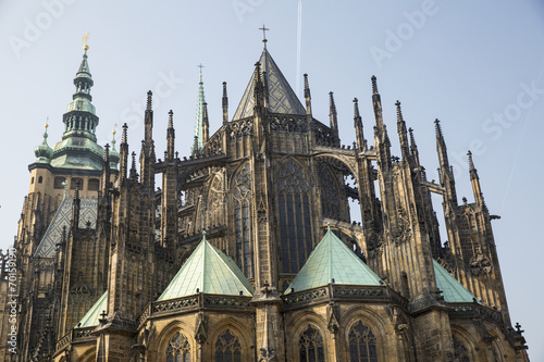 roofs and berries on cathedral in Prague