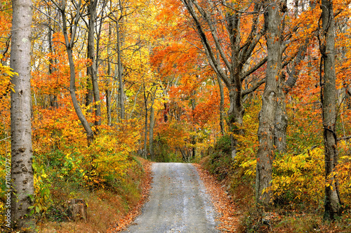 Autumn Scenic of Mountain Road