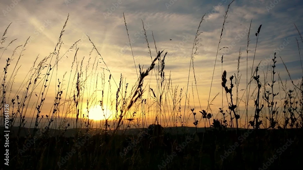 Sunset with grasshopper and bird sounds Sunset with grasshopper and bird sounds