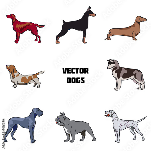 Vector dogs
