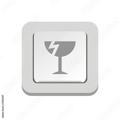 Vector iButton