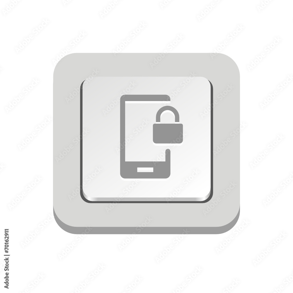 Vector iButton Vector iButton