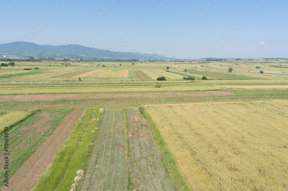 aerial view of cultivated fields