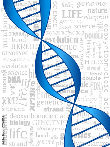 DNA strand