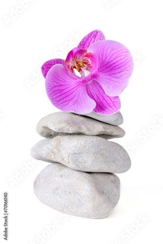 Spa stones and purple orchid