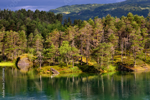 Fototapeta Naklejka Na Ścianę i Meble -  Norwegia , krajobraz wiejski