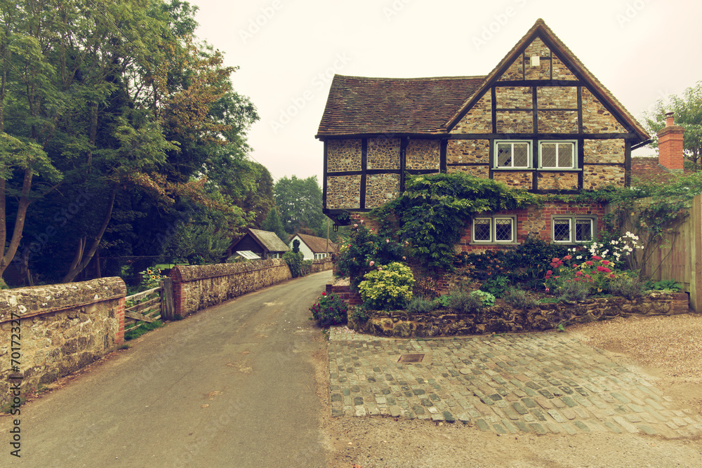 Fototapeta premium retro style english house