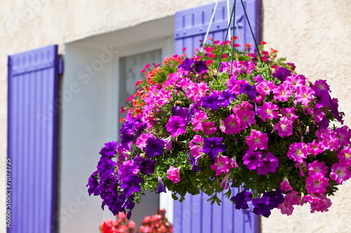 Bright petunia flowers on a house wall background © dvoevnore