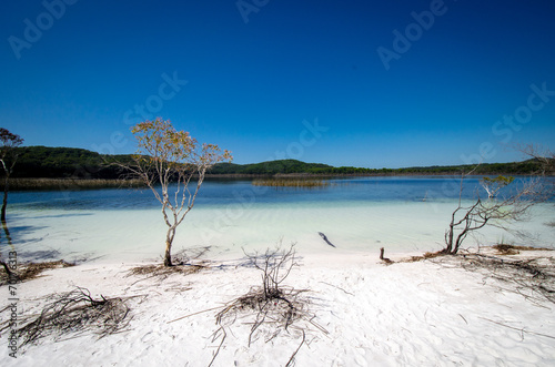 Fotografie Lake Birrabeen on Fraser Island