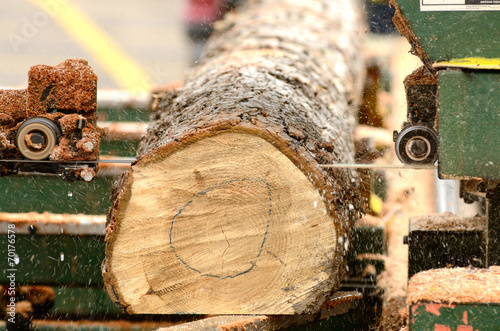 Portable Sawmill photo