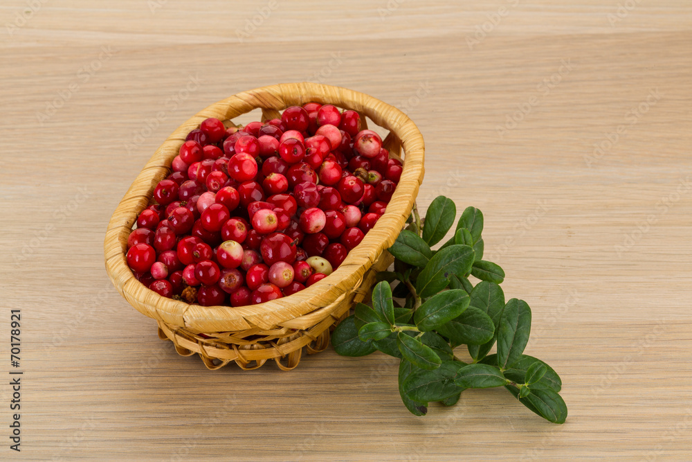 Cowberry Cowberry