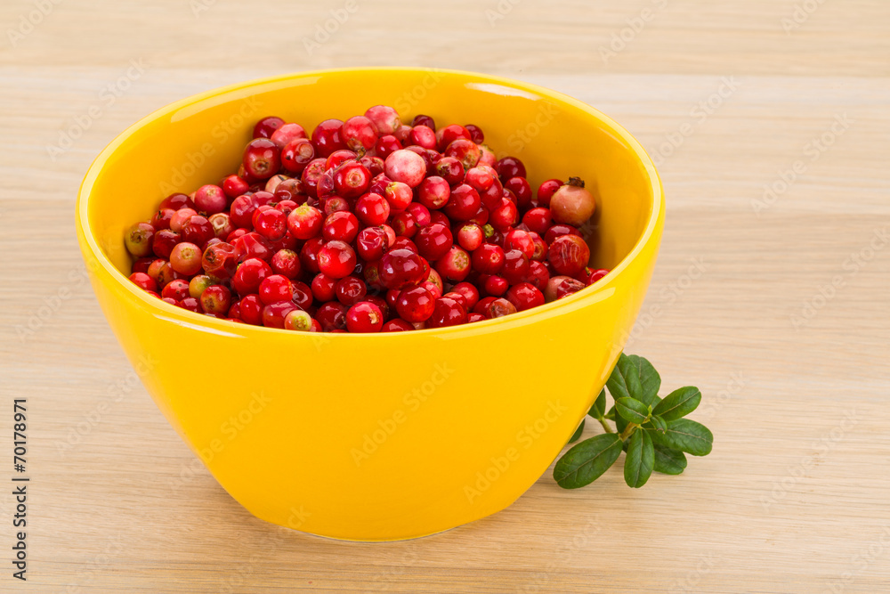 Cowberry